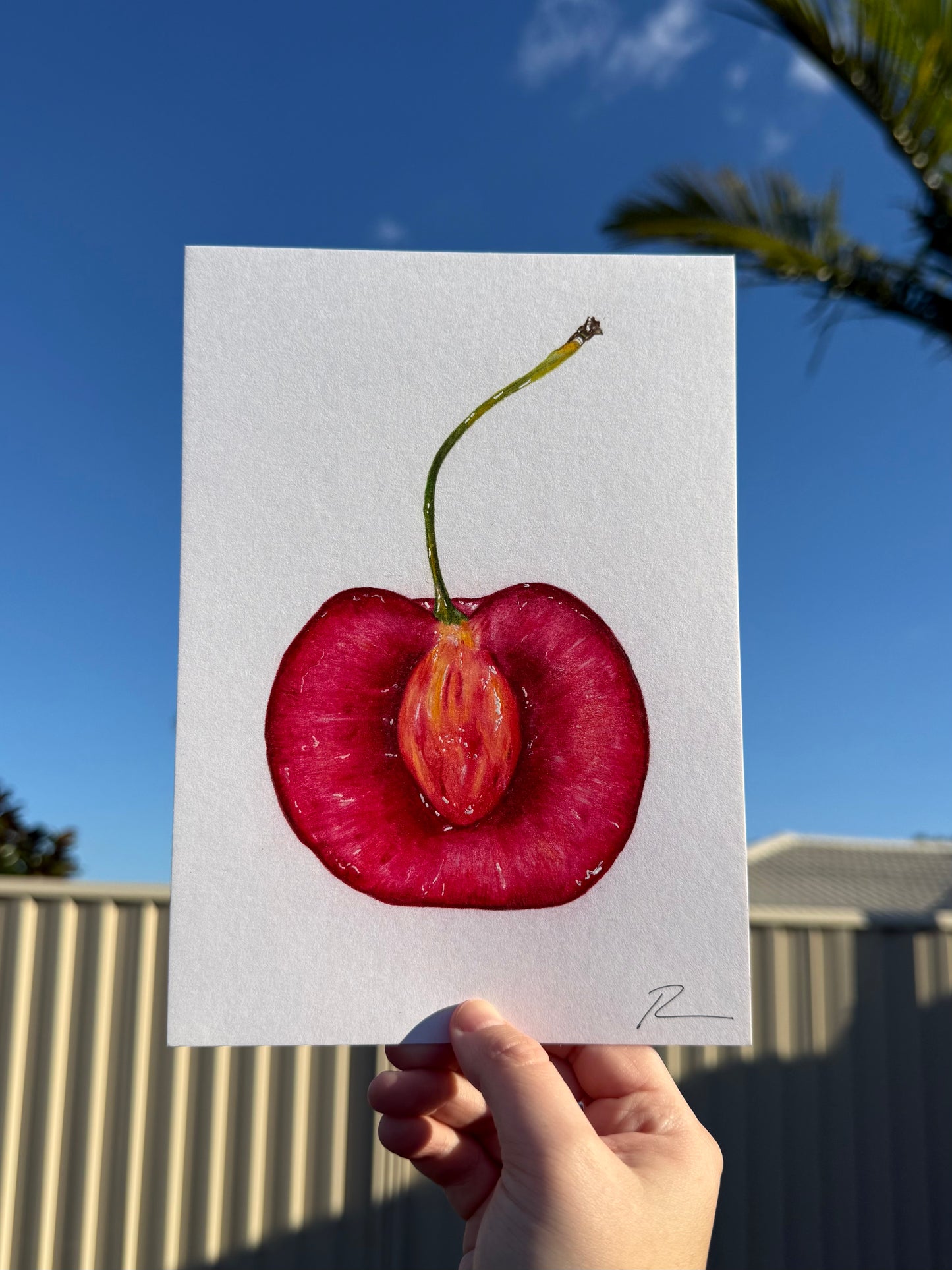 'My Sweet Cherry' Pencil on Paper -ORIGINAL