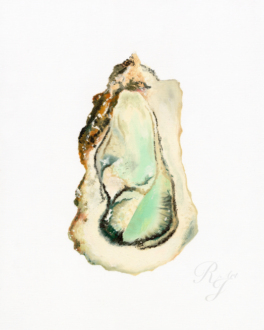 'Oyster' Oil on Paper- Print