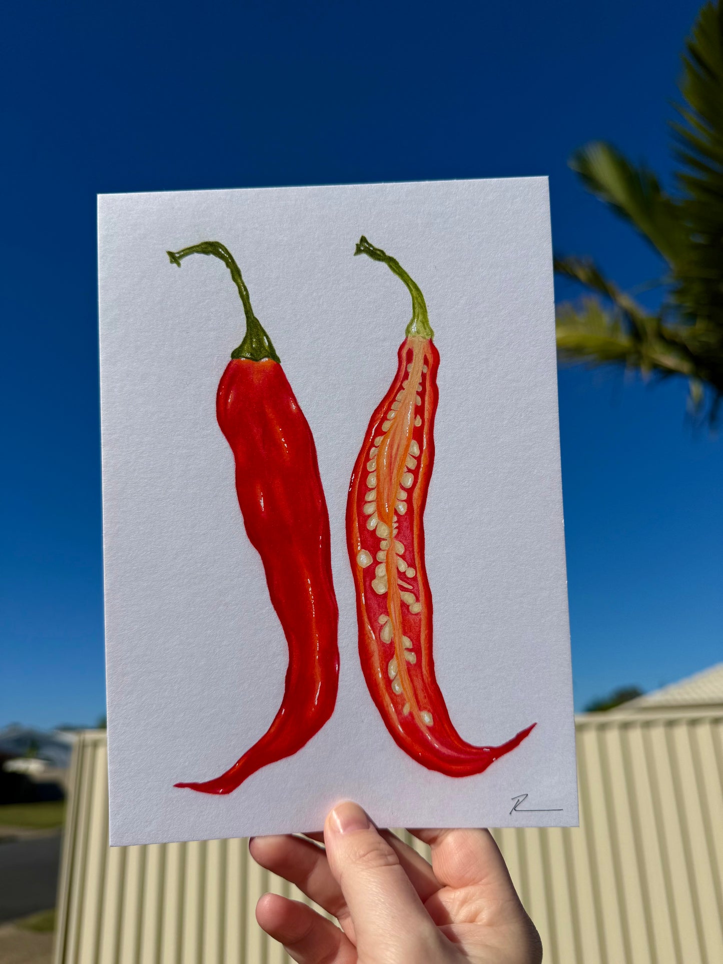'That's hot' Pencil on Paper -ORIGINAL