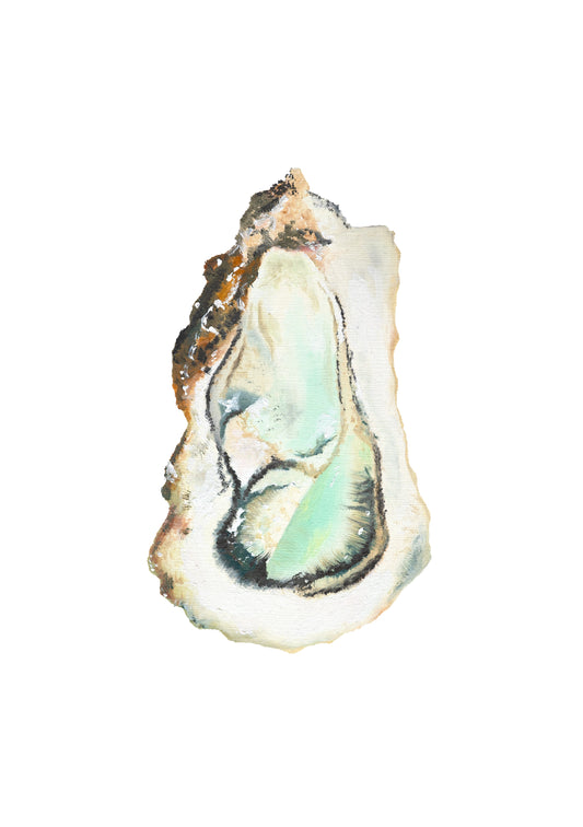 'Oyster' Oil on Paper- ORIGINAL
