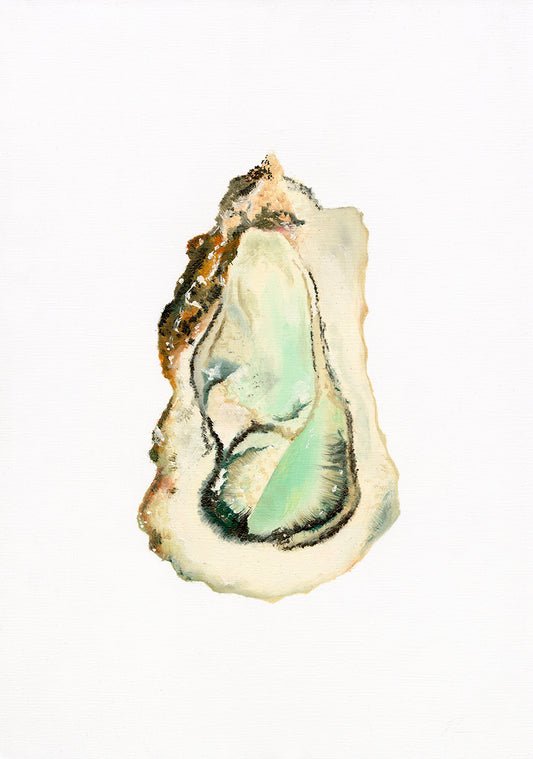 'Oyster' Oil on Paper- ORIGINAL